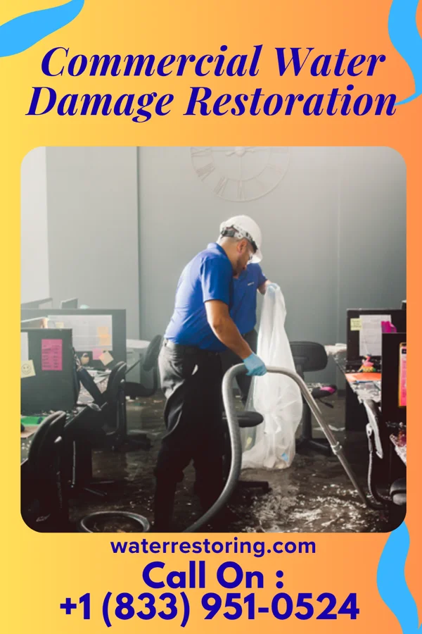 Commercial Water Damage Restoration in Salley, SC