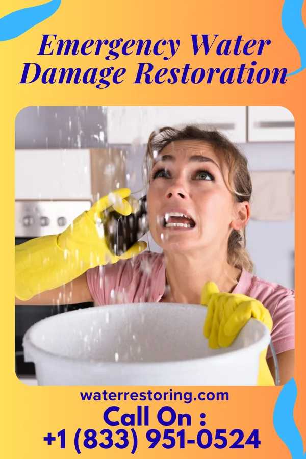 Emergency Water Damage Restoration in Salley, SC