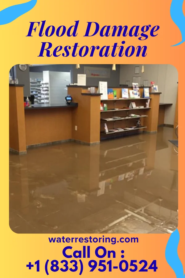 Flood Damage Restoration in Salley, SC