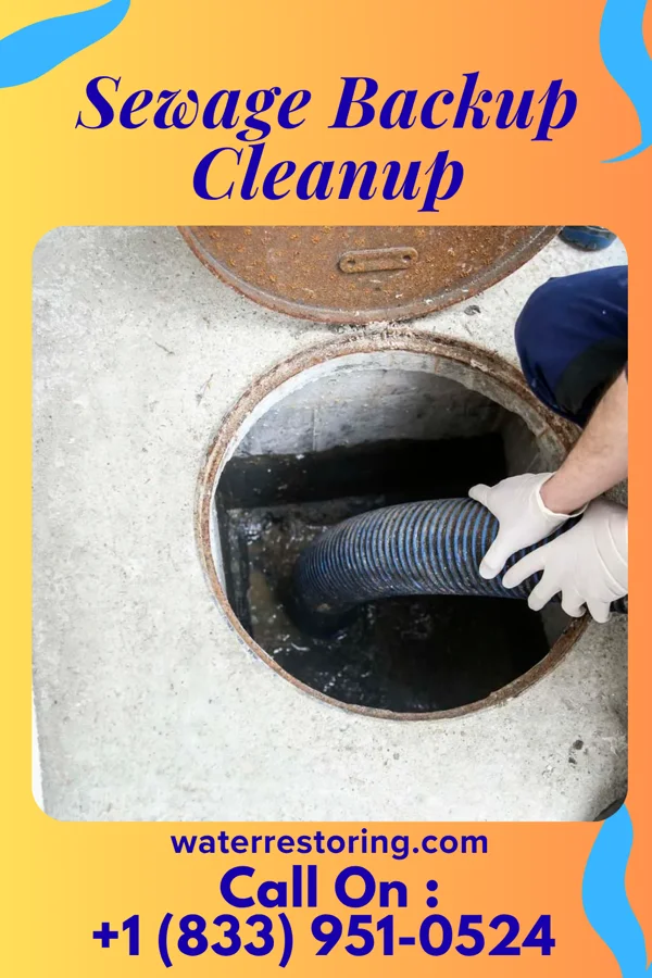 Sewage Backup Cleanup in Salley, SC